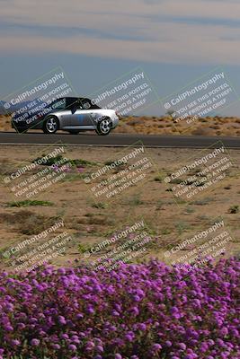 media/Jan-08-2023-SCCA SD (Sun) [[8f6a5b9391]]/Novice Group/Session 2 (Short Straight)/